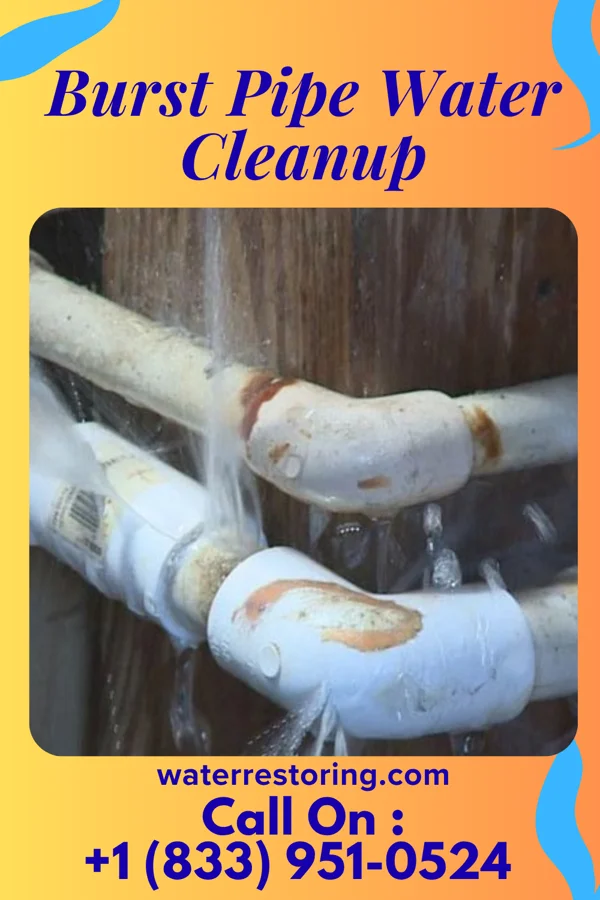 Burst Pipe Water Cleanup in Wahpeton, ND